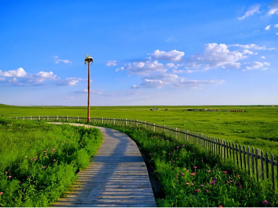 1690854112322764.jpg 18.2.jpg